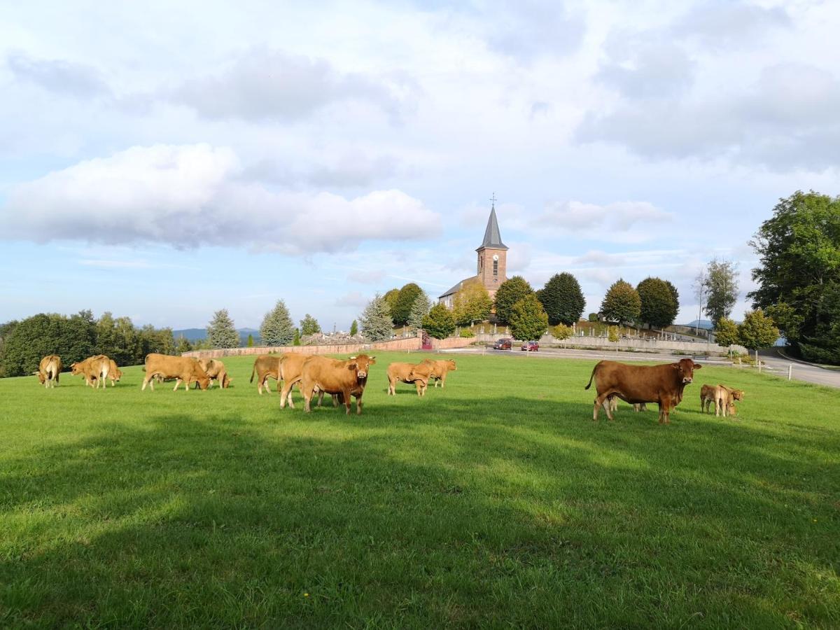 Le Cedre Bleu Saint-Michel-sur-Meurthe