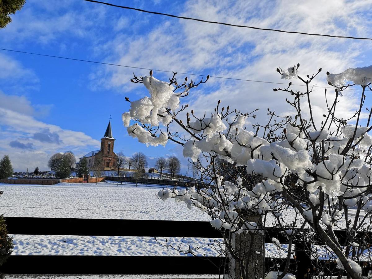 Le Cedre Bleu * Saint-Michel-sur-Meurthe